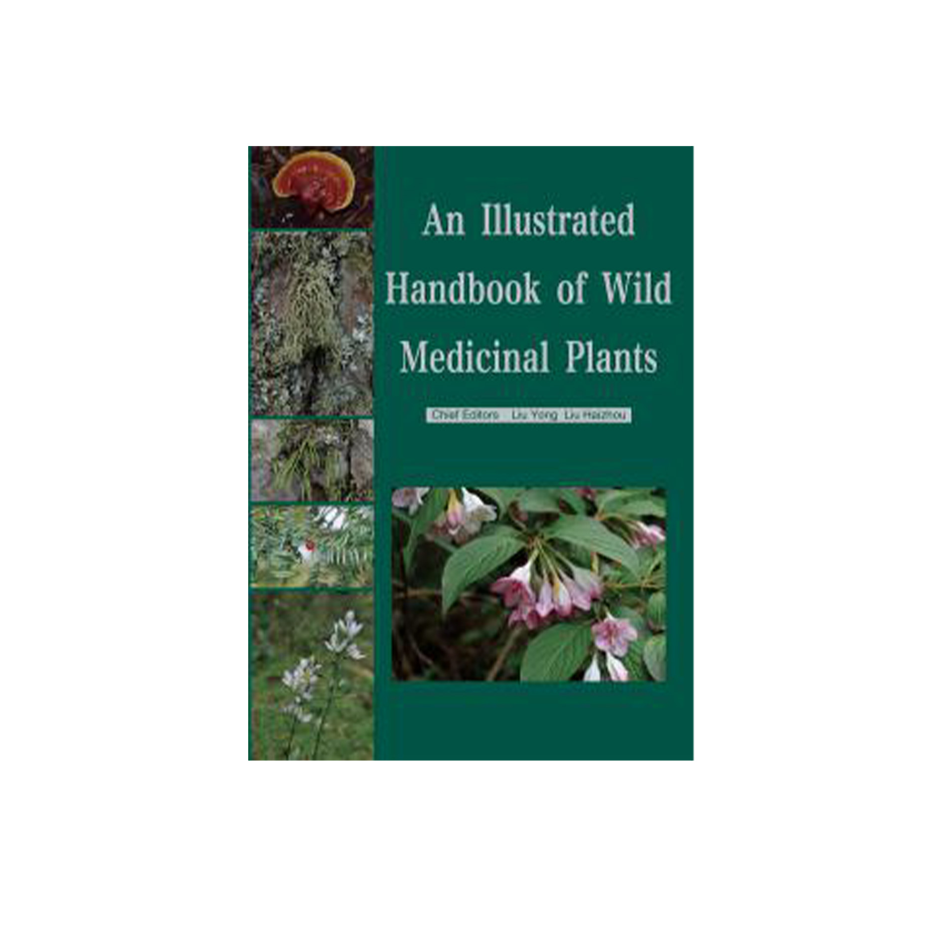 Wild Medical Plant Illustrated Handbook