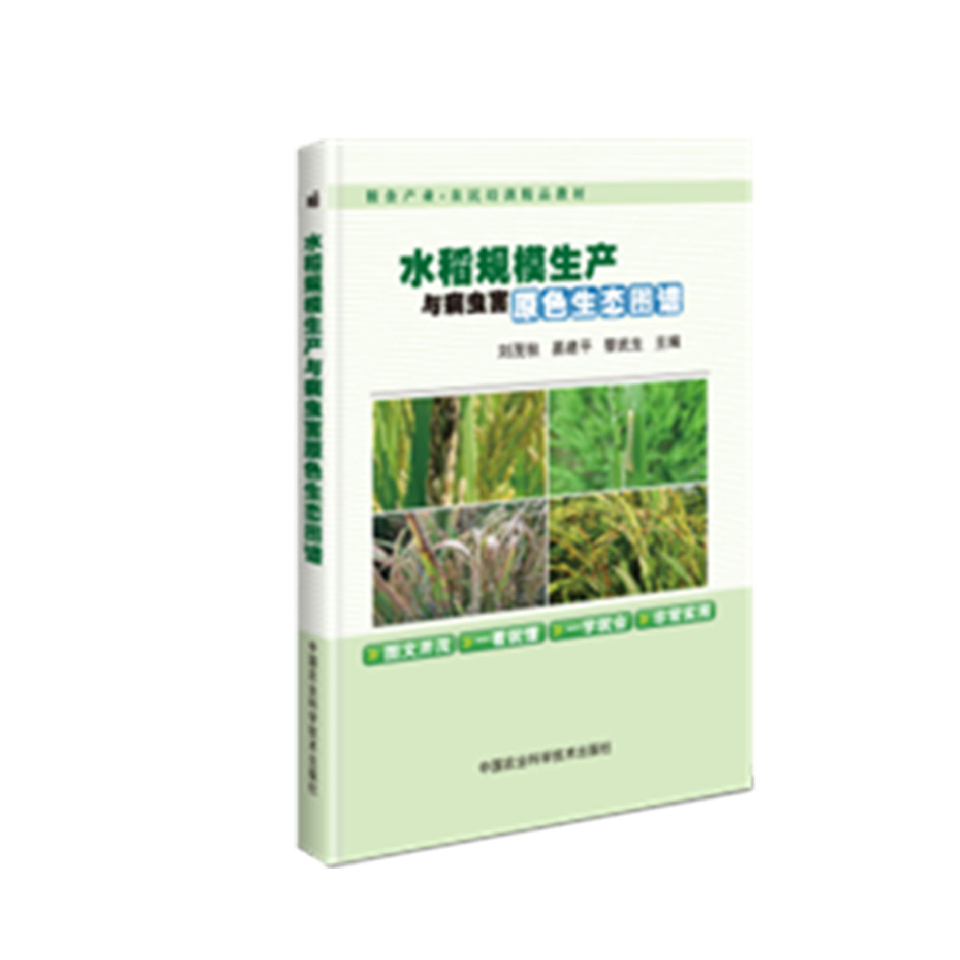 水稻规模生产与病虫害原色生态图谱